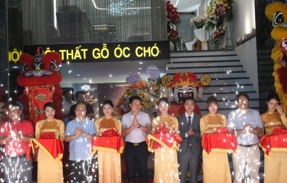  Khai trương showroom Hà Nội - Nội Thấy Gỗ Óc Chó Việt Á Đông 